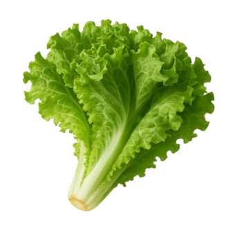 Salata puterica nansen